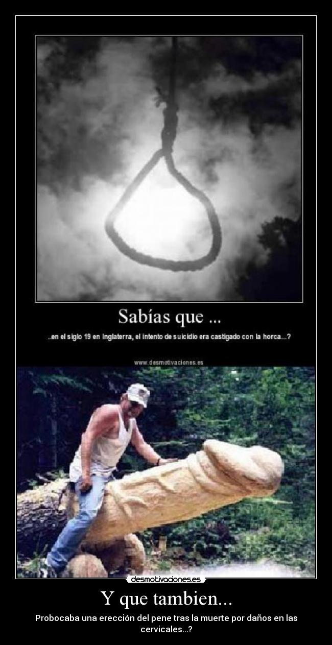 Y que tambien... - Probocaba una erección del pene tras la muerte por daños en las cervicales...?
