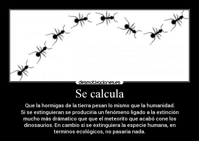 carteles walt_k desmotivaciones