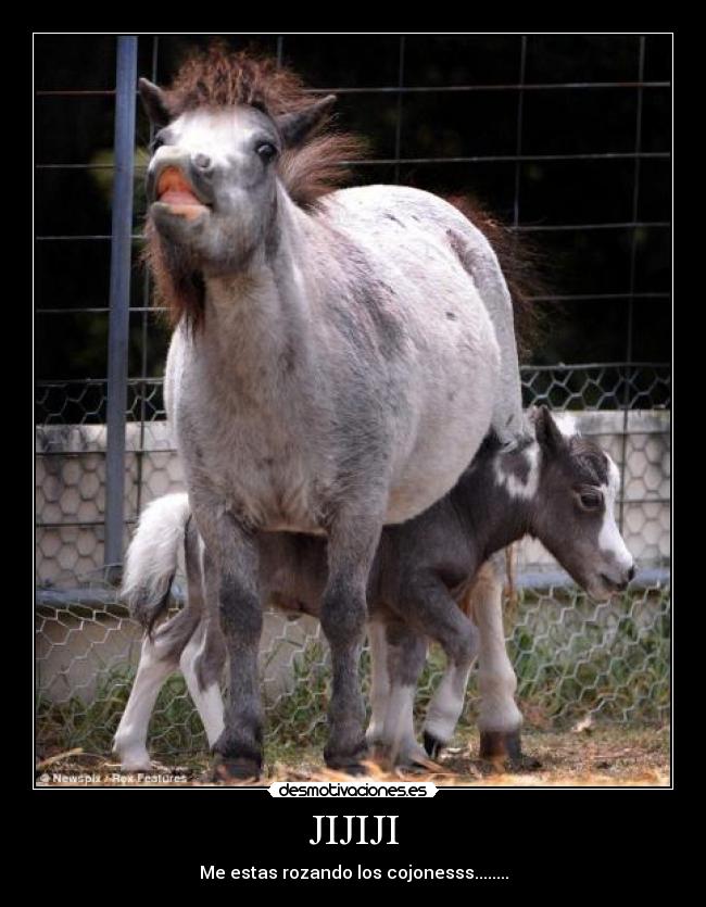 JIJIJI - Me estas rozando los cojonesss........