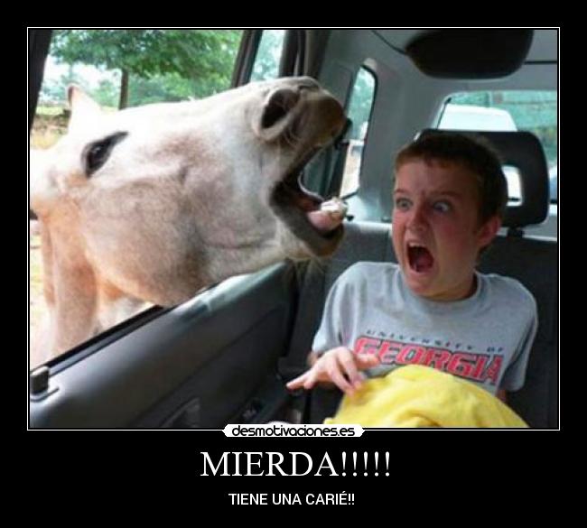 MIERDA!!!!! -