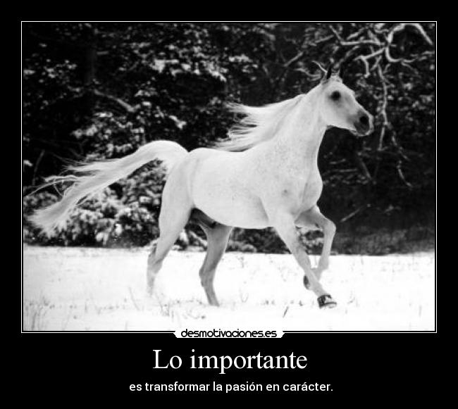 Lo importante -