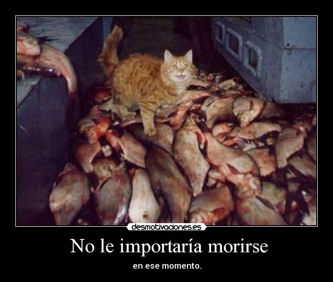  No le importaría morirse - 