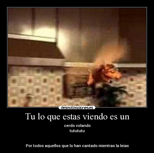 Tu lo que estas viendo es un -