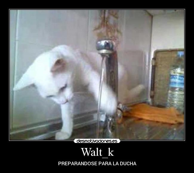 Walt_k -