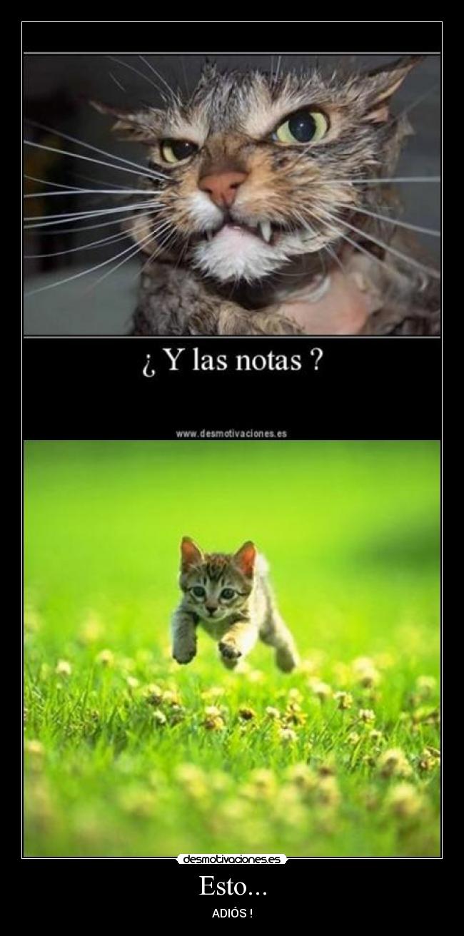 carteles feridiponcio7 desmotivaciones