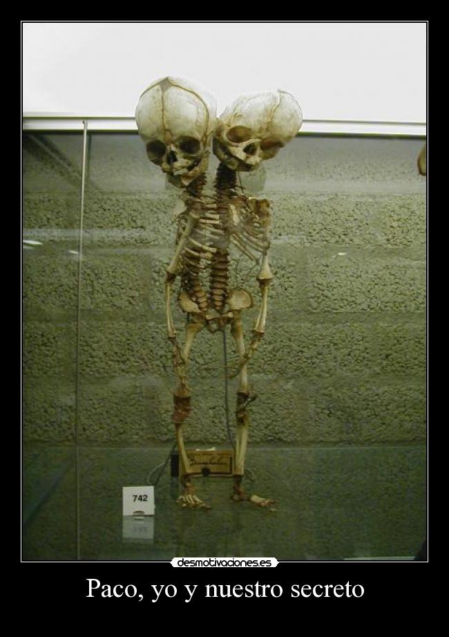 Paco, yo y nuestro secreto - 