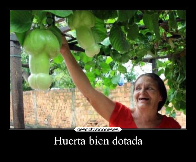 Huerta bien dotada - 
