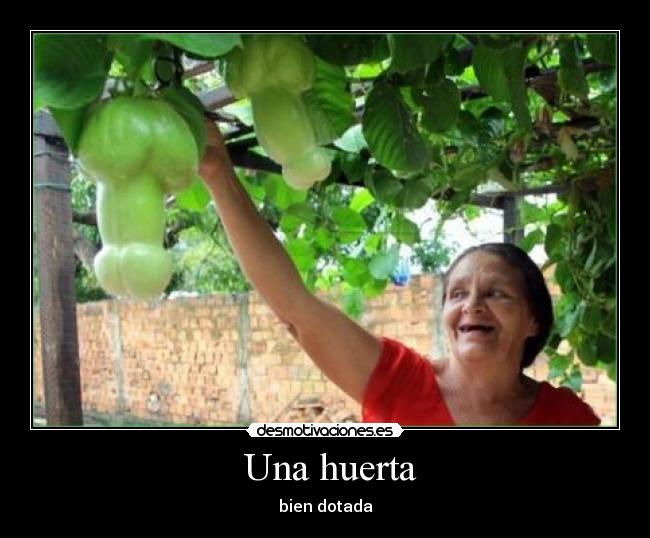 carteles huerta dotada desmotivaciones