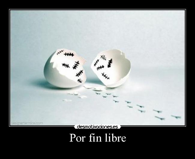 Por fin libre -