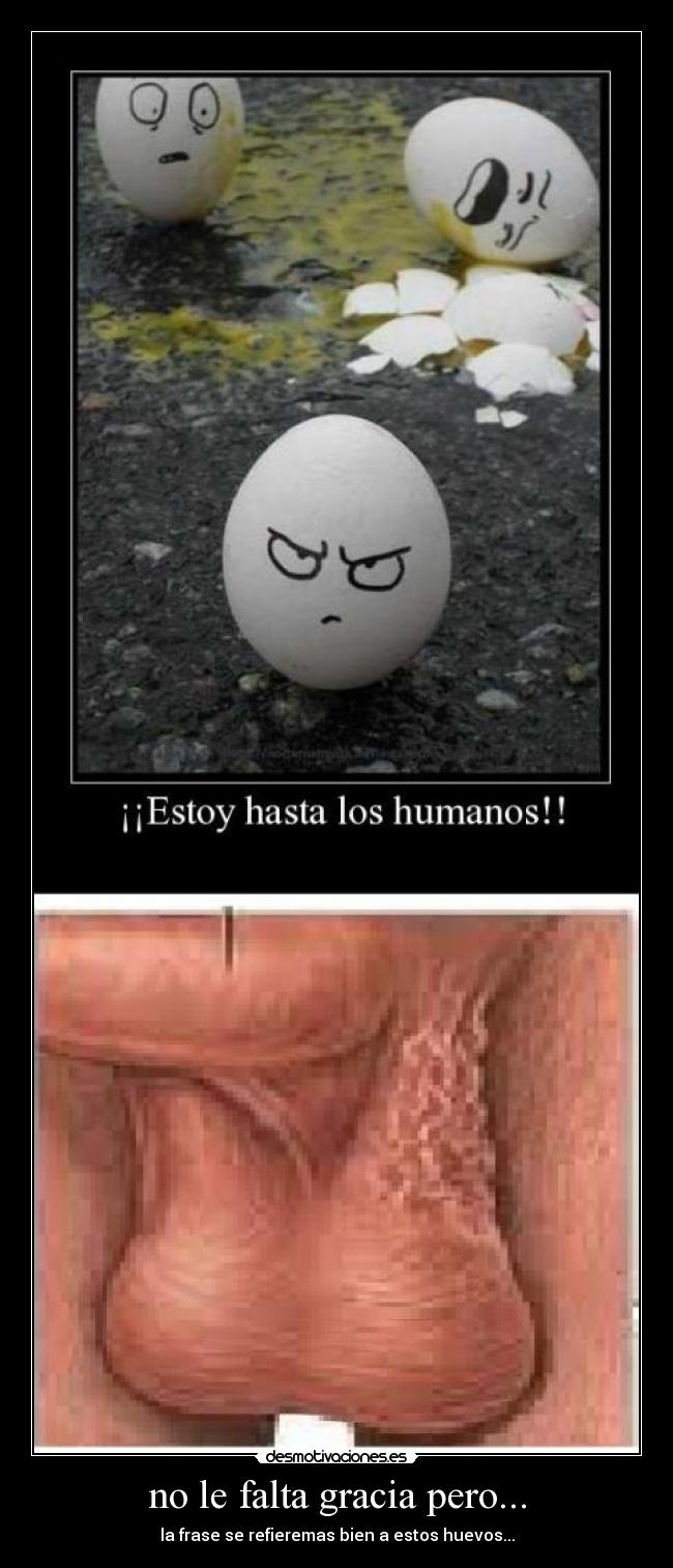 no le falta gracia pero... - la frase se refieremas bien a estos huevos...