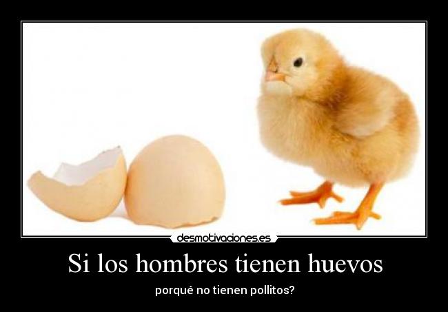 Si los hombres tienen huevos - 