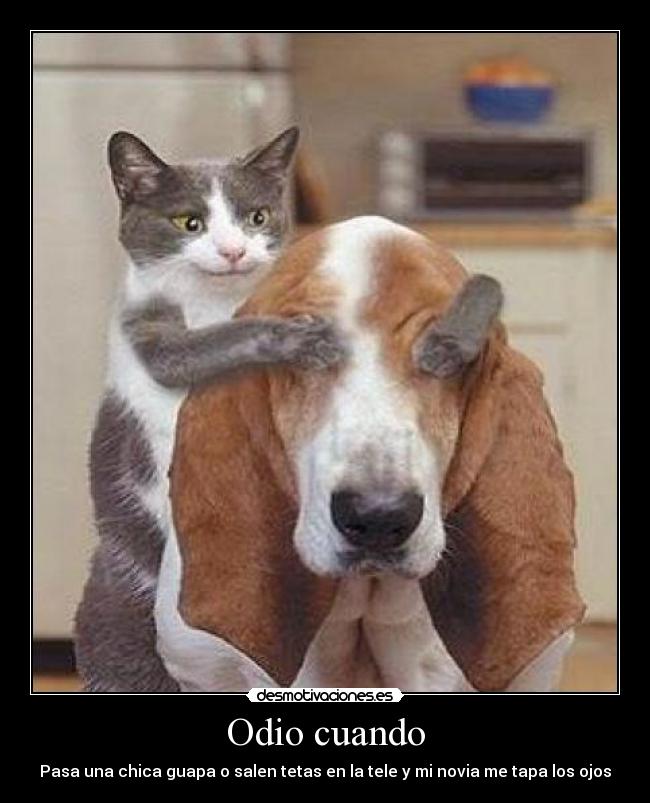 Odio cuando - Pasa una chica guapa o salen tetas en la tele y mi novia me tapa los ojos