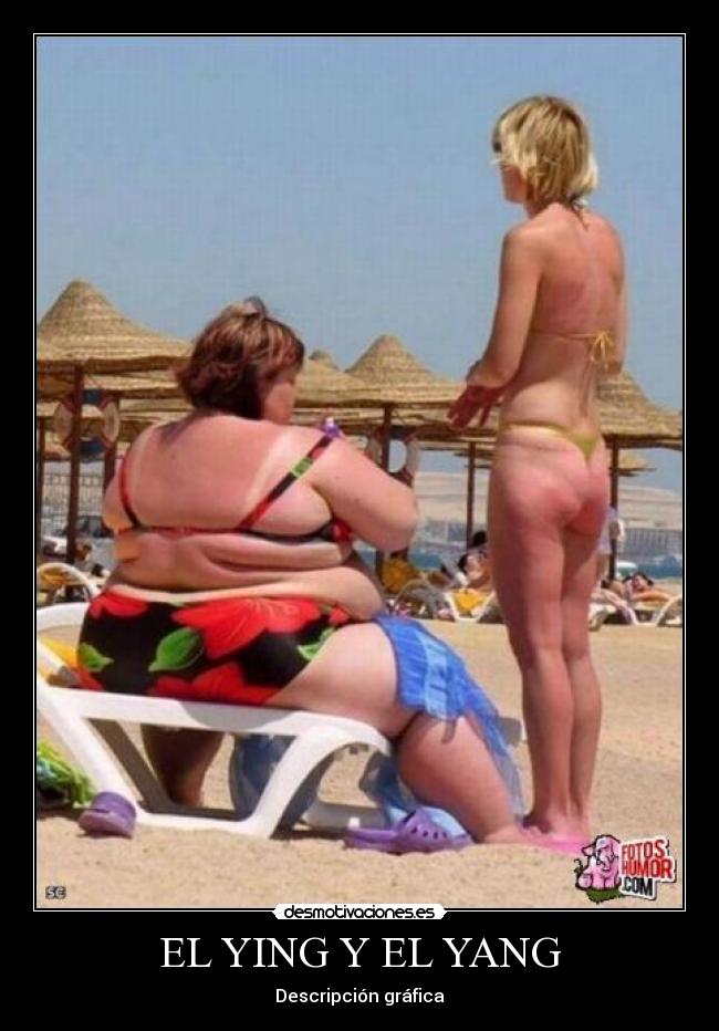 EL YING Y EL YANG - Descripción gráfica