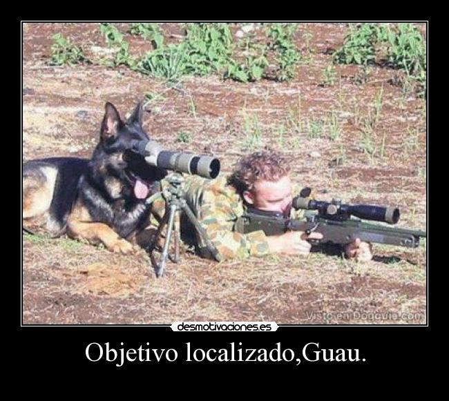 Objetivo localizado,Guau. -