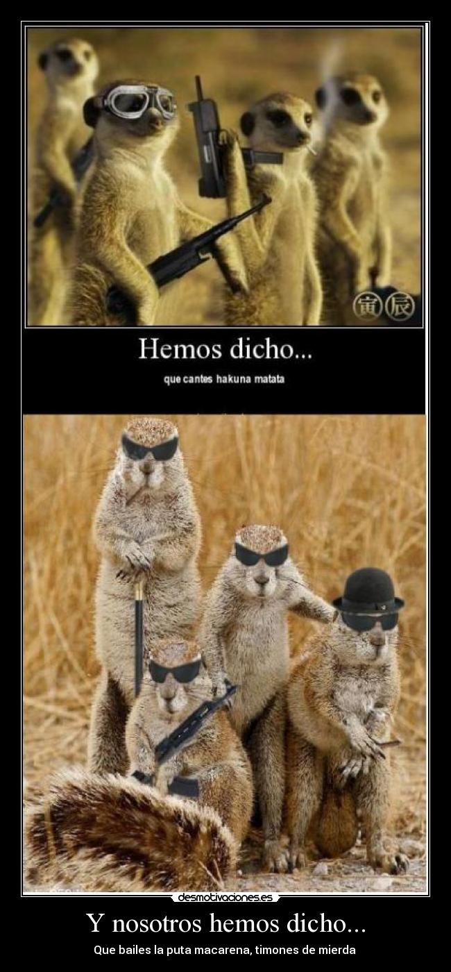 Y nosotros hemos dicho... - Que bailes la puta macarena, timones de mierda 