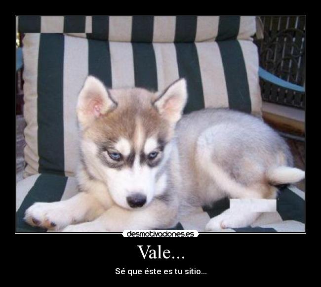 Vale... -