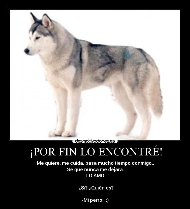 ¡POR FIN LO ENCONTRÉ! - Me quiere, me cuida, pasa mucho tiempo conmigo..
Se que nunca me dejará.
LO AMO

-¿Si? ¿Quién es?

-Mi perro.. ;)