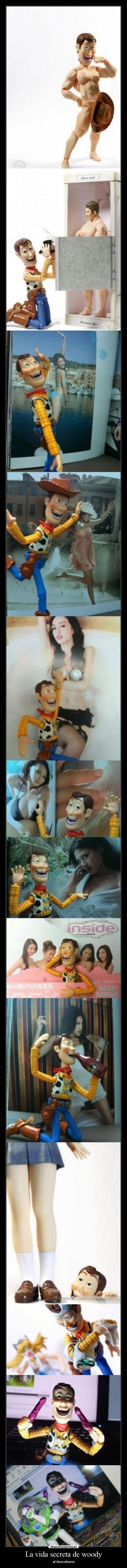 La vida secreta de woody - 