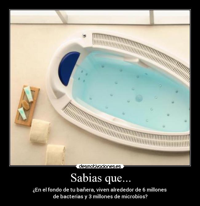 Sabias que... - ¿En el fondo de tu bañera, viven alrededor de 6 millones 
de bacterias y 3 millones de microbios?