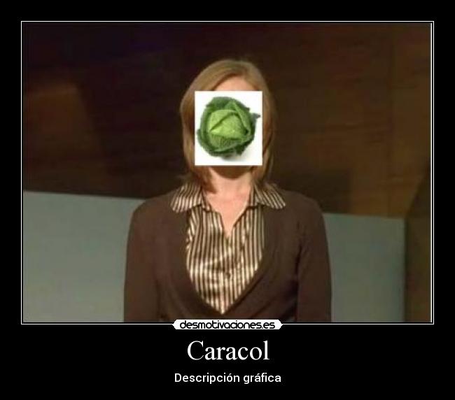 Caracol - Descripción gráfica