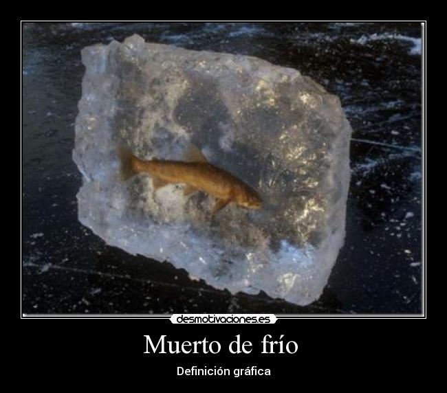 Muerto de frío  - Definición gráfica