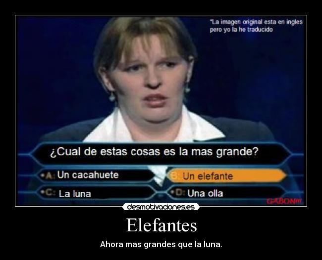 Elefantes - 