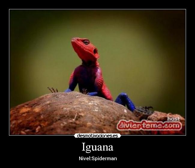 Iguana - Nivel:Spiderman