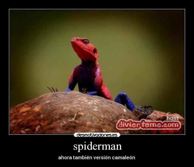 spiderman -