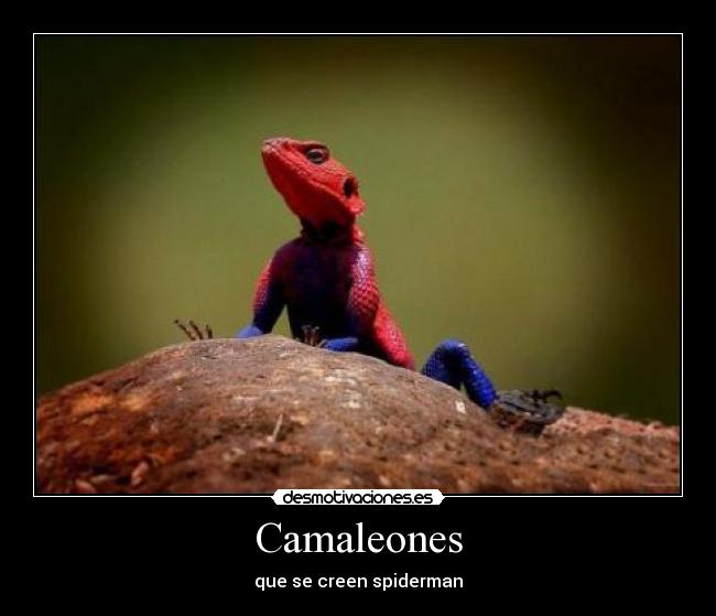 Camaleones -