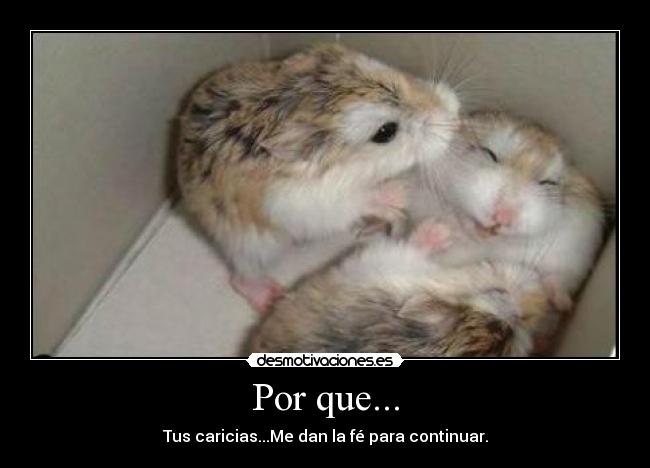 Por que... -