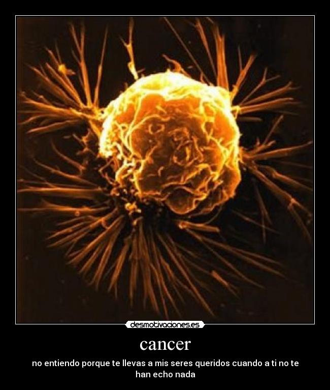 cancer - no entiendo porque te llevas a mis seres queridos cuando a ti no te han echo nada