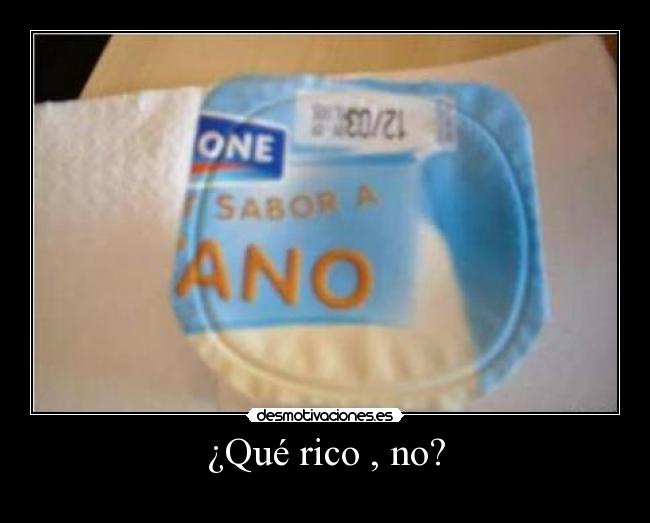 ¿Qué rico , no? -
