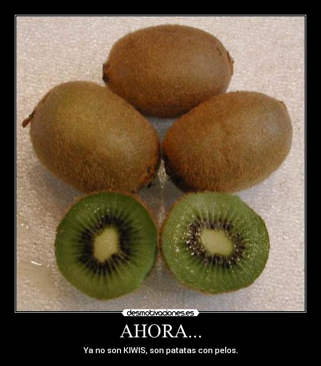 AHORA... -