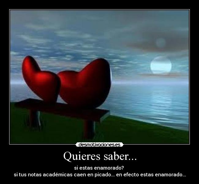 Quieres saber... -