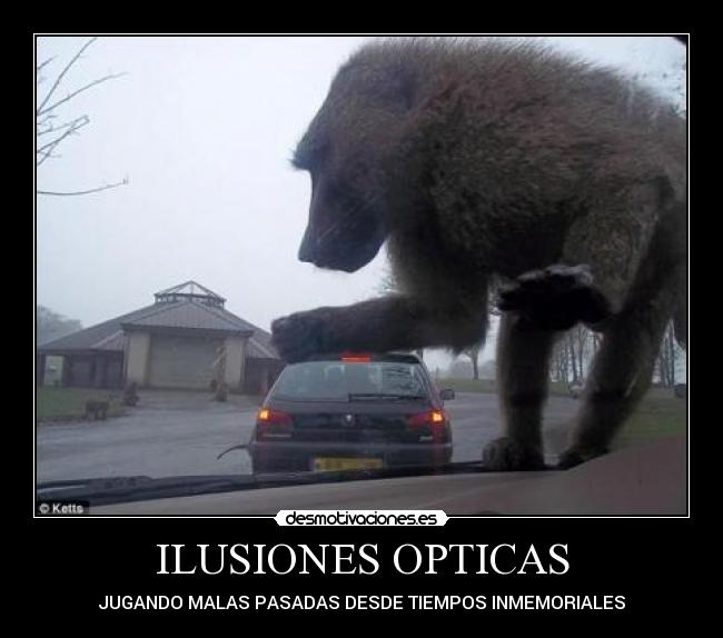 ILUSIONES OPTICAS - 