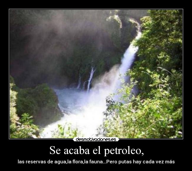 Se acaba el petroleo, - las reservas de agua,la flora,la fauna...Pero putas hay cada vez más