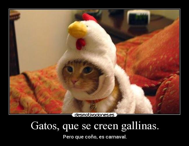 carteles gatos gatoscarnaval gallina cono desmotivaciones