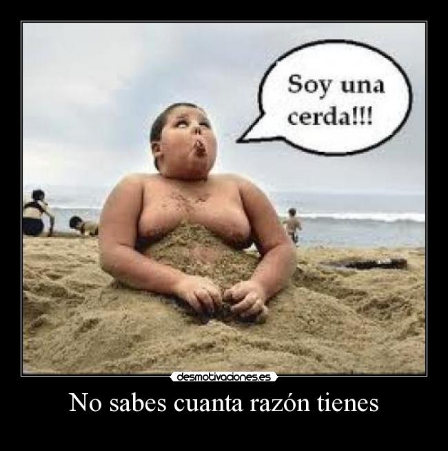 No sabes cuanta razón tienes -