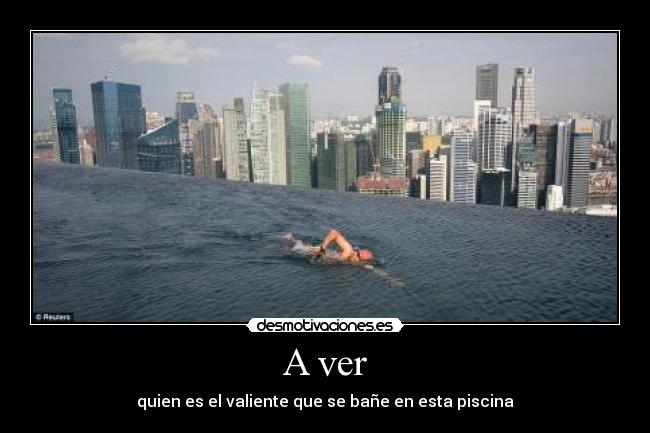 A ver - quien es el valiente que se bañe en esta piscina