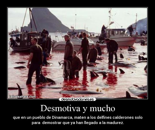 Desmotiva y mucho - que en un pueblo de Dinamarca, maten a los delfines calderones solo
para demostrar que ya han llegado a la madurez.