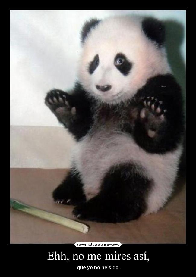 Ehh, no me mires así, - que yo no he sido.