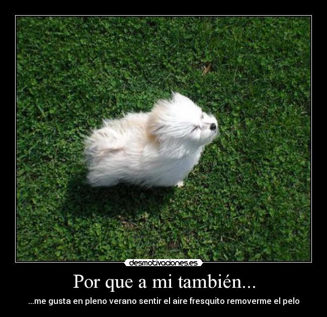 Por que a mi también... - ...me gusta en pleno verano sentir el aire fresquito removerme el pelo