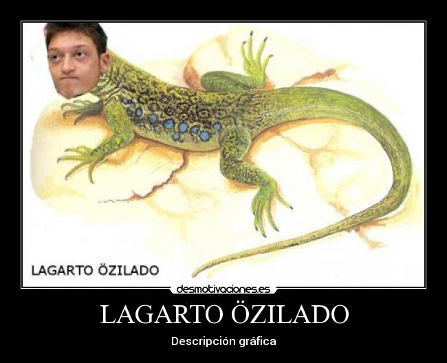 carteles ozil jugador futbol lagarto ocelado desmotivaciones