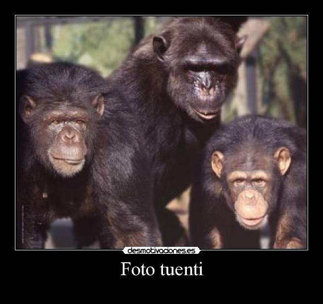 Foto tuenti -