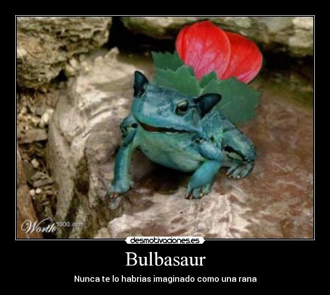 Bulbasaur - Nunca te lo habrias imaginado como una rana