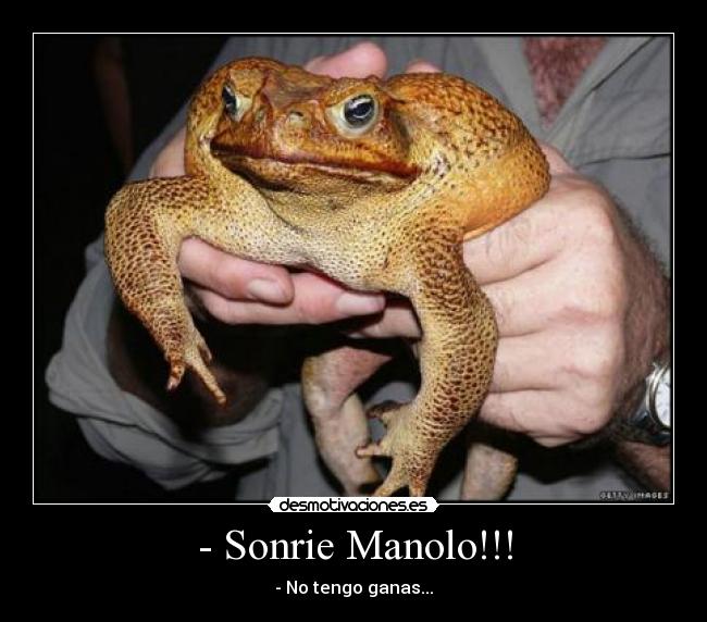 - Sonrie Manolo!!! -