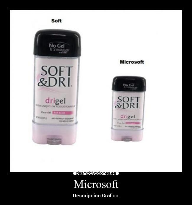 Microsoft - Descripción Gráfica.
