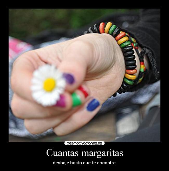 Cuantas margaritas - 