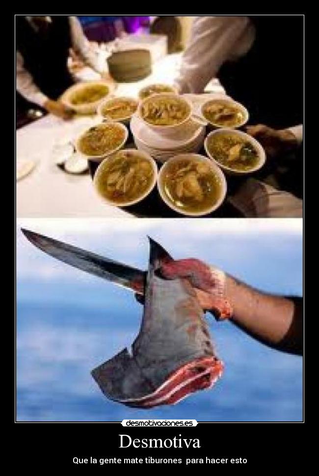 Desmotiva - Que la gente mate tiburones para hacer esto