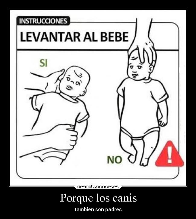 Porque los canis - tambien son padres